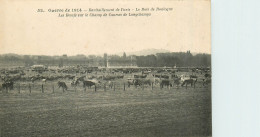 75* PARIS  Guerre  1914 – Ravitaillement De Paris – Bœufs A  Longchamp -     RL38.0795 - Paris (16)