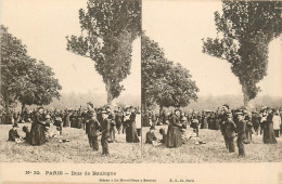 75* PARIS Bois De Boulogne (vue Stéréo)-     RL38.0767 - Arrondissement: 16