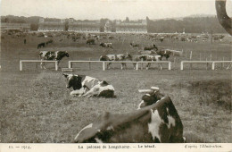 75* PARIS Longchamp -   La Pelouse – Le Betail   RL38.0711 - Arrondissement: 16