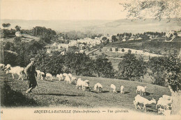 76* ARQUES LA BATAILLE Vue Generale   - Moutons    RL38.1357 - Arques-la-Bataille