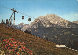 71932151 Berchtesgaden Jennerbahn Bergbahn Alpenflora Alpenpanorama Berchtesgade - Berchtesgaden