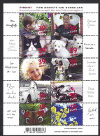 Pays-Bas, Nederland, Netherlands 2003; M/s Of 10 Photography: CAT, Puppies, Butterfly, Children, Motorbik, Spose. - Gatti