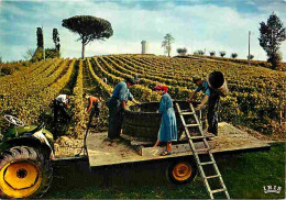Vignes - Vendanges - CPM - Voir Scans Recto-Verso - Vigne