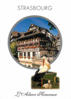 67 - Strasbourg - Maison Des Tanneurs - Nid De Cigognes - CPM - Voir Scans Recto-Verso - Strasbourg