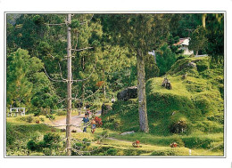 Malaisie - Maxwell Hill - Bukit Larut - The Oldest Hill Resort In The Country. Located 4751 Ft Above Sea Level In Taipin - Malesia