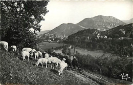 Animaux - Moutons - Lourdes - La Vallée Et Le Pîc Du Jer - Carte Dentelée - CPSM Format CPA - Etat Léger Pli Visible - V - Autres & Non Classés