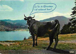 Animaux - Vaches - Gerardmer - Carte Humoristique - CPM - Voir Scans Recto-Verso - Vaches