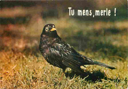 Animaux - Oiseaux - Merle - Carte Humoristique - CPM - Voir Scans Recto-Verso - Birds