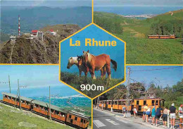 Animaux - Chevaux - La Rhune - Multivues - Le Sommet - Vue De La Baie De Saint-Jean-de-Luz - Le Petit Train - Gare Du Co - Pferde
