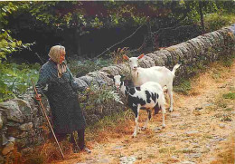 Animaux - Chèvres - CPM - Voir Scans Recto-Verso - Autres & Non Classés