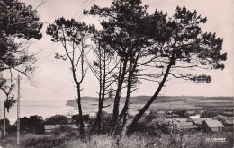 Quiberville - Vue Prise Des Falaises D'Aval  -  CPSM °J - Autres & Non Classés