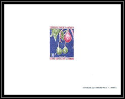 0022d Epreuve De Luxe Deluxe Proof Cameroun N°554 Avocat (avocado) - Camerun (1960-...)