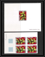 0005b Epreuve De Luxe Deluxe Proof Cameroun N°537 Cacao (cocoa) + Non Dentelé Imperf ** MNH - Alberi