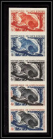 1044b Cote D'ivoire Ivory N° 213 Daman Des Arbres Marmotte Non Dentelé Imperf ** MNH Essais Proof Bande 5 Animals - Costa D'Avorio (1960-...)