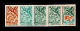 1043a Cote D'ivoire N° 214 Hyemoschus Aquaticus Chevrotain Water Deer Essai (proof) Non Dentelé Imperf ** MNH Bande 5 - Costa D'Avorio (1960-...)