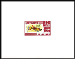 2132 Poissons Poisson (Fish Fishes) 1962 Guinée Guinea épreuve De Luxe Deluxe Proof TTB  - Vissen