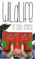 Guyana - 2012 - Wildlife Of South America - Yv Bf 546 - Other & Unclassified
