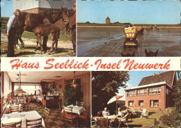 71928675 Insel Neuwerk Haus Seeblick Pferde  Hamburg - Autres & Non Classés