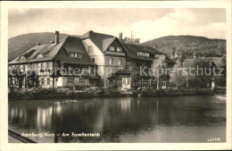 71928420 Ilsenburg Harz Am Forellenteich Ilsenburg - Ilsenburg