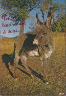 A45 690 CP Ane Baudet Esel Donkey Burro Asino Asno Ezel Humour IRIS PP 2671 - Anes