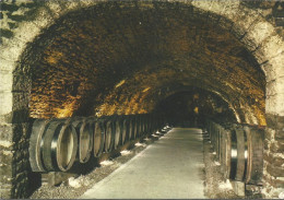 A45 674 CP Caves Reine Pedauque Beaune Vin Wine Wein - Beaune