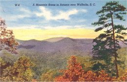 A45 627 CP Mountains Walhalla SC - Other & Unclassified