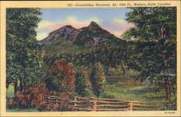 A45 620 CP Grandfather Mountain North Carolina - Sonstige & Ohne Zuordnung