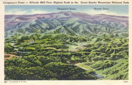 A45 617 CP Clingsman Dome Great Smoky Mountains National Park - Autres & Non Classés