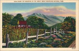 A45 616 CP Sharp Top Mountain Great Smoky Mountains National Park - Autres & Non Classés