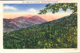 A45 619 CP Hawk Bill Mountain Western North Carolina - Andere & Zonder Classificatie