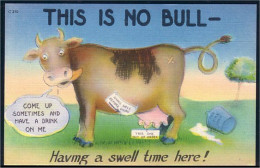 A45 379 PC Humour There Is No Bull Unused - Bauernhöfe