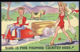 A45 378 PC Humour Sure Is Fine Farming Country Here! Unused - Boerderijen