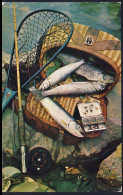 A45 346 PC Fishing Trout Unused - Fishing