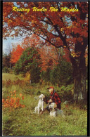 A45 329 PC Hunter With Dogs Under A Maple Tree Unused - Jagd