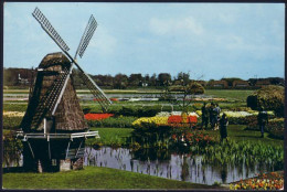 A46 8 CP Holland Molen Winmill Moulin Muhl Neuve/unused - Zonder Classificatie