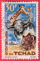 N° Yvert & Tellier 108 - République Du Tchad (1965) - (Oblitéré) - Protection Faune (Girafe-Buffle-Lion) - Tchad (1960-...)