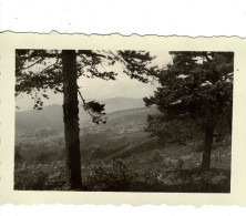 Ref 1 - Photo :  Panorama Du Col Du Wettstein ,  Alsace  - France . - Europa