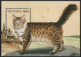 Guyana - 1992 - Cats: Maine Coon - Yv Bf 107 - Domestic Cats