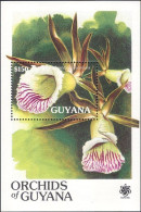 Guyana - 1990 - Flowers: Orchids - Yv Bf 53 - Orchideen