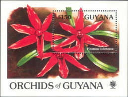 Guyana - 1990 - Flowers: Orchids Of Guyana - Yv Bf 52 - Orchidées