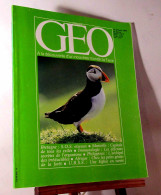 - MAGAZINE GEO - No 38 - Other & Unclassified
