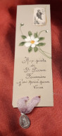 Image Pieuse + Médaille AUX PIEDS DE St PIERRE FOURRIER J'ai Prié Pour Vous"holy Card"heilige Bild"peinte Main" - Devotion Images