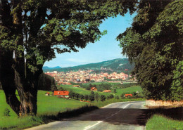 LA CHAUX De FONDS : Vue Du Chemin Blanc - La Chaux-de-Fonds