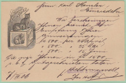 Entier Postal Repiqué /  Hoffmann's Stärke + Chat / Luzern 07/03/1906 - Entiers Postaux