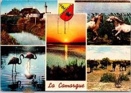1-6-2024 (1) France - La Camargue - Midi-Pyrénées
