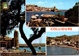 1-6-2024 (1) France - Collioure - Collioure