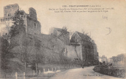 44-CHATEAUBRIANT-LE CHÂTEAU-N°503-B/0255 - Châteaubriant
