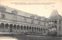 44-CHATEAUBRIANT-LE CHÂTEAU-N°503-B/0245 - Châteaubriant