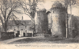 44-CHATEAUBRIANT-LE CHÂTEAU-N°503-B/0197 - Châteaubriant