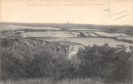 44-BATZ SUR MER-MARAIS SALANT-N°503-A/0149 - Batz-sur-Mer (Bourg De B.)